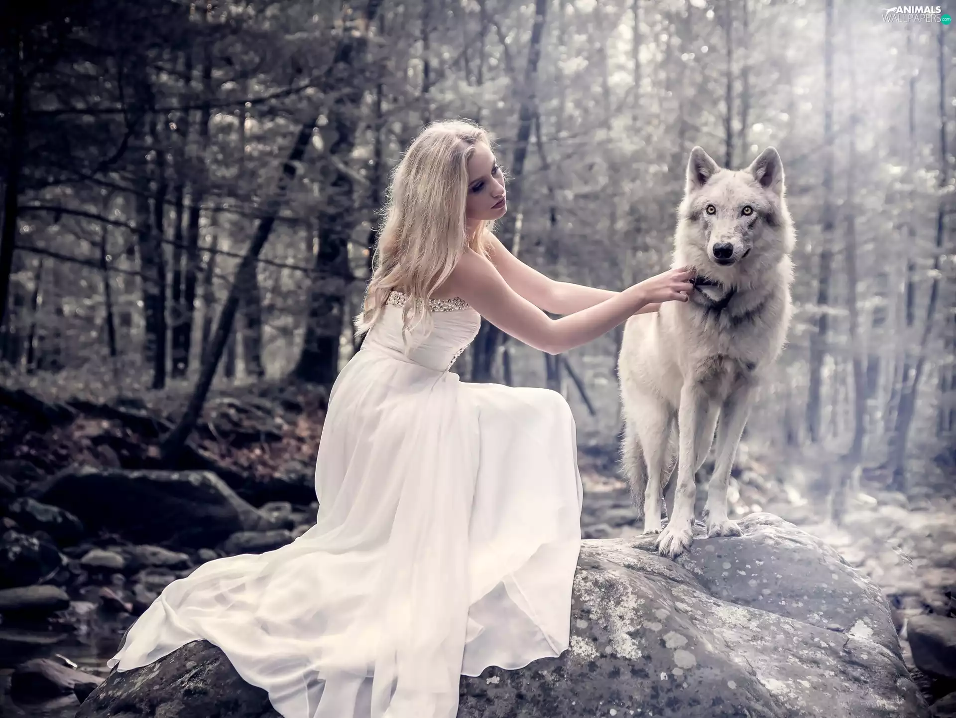 Stones, Wolf, Dress, forest, Women