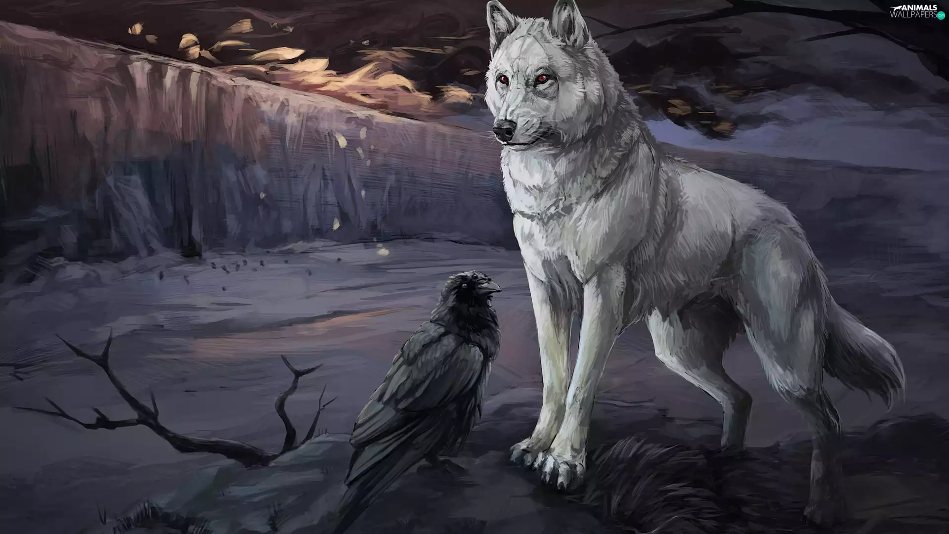 graphics, Crow, twilight, Wolf