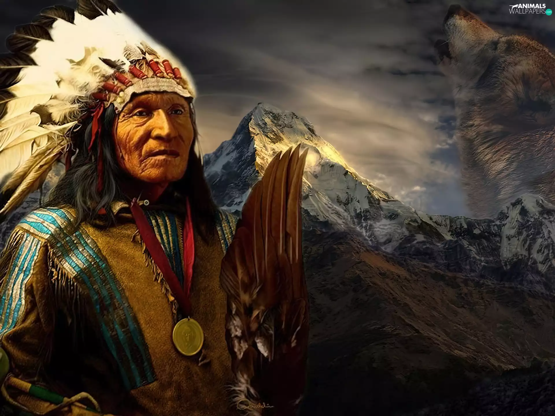 Wolf, Indian, Mountains