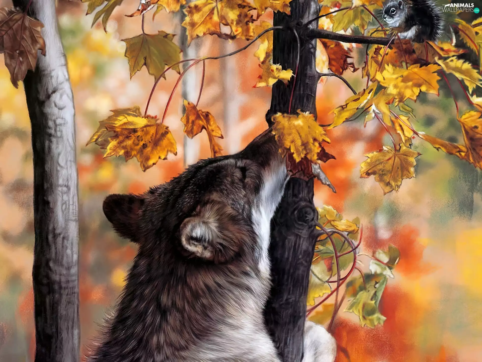 Leaf, Wolf, trees, viewes, autumn