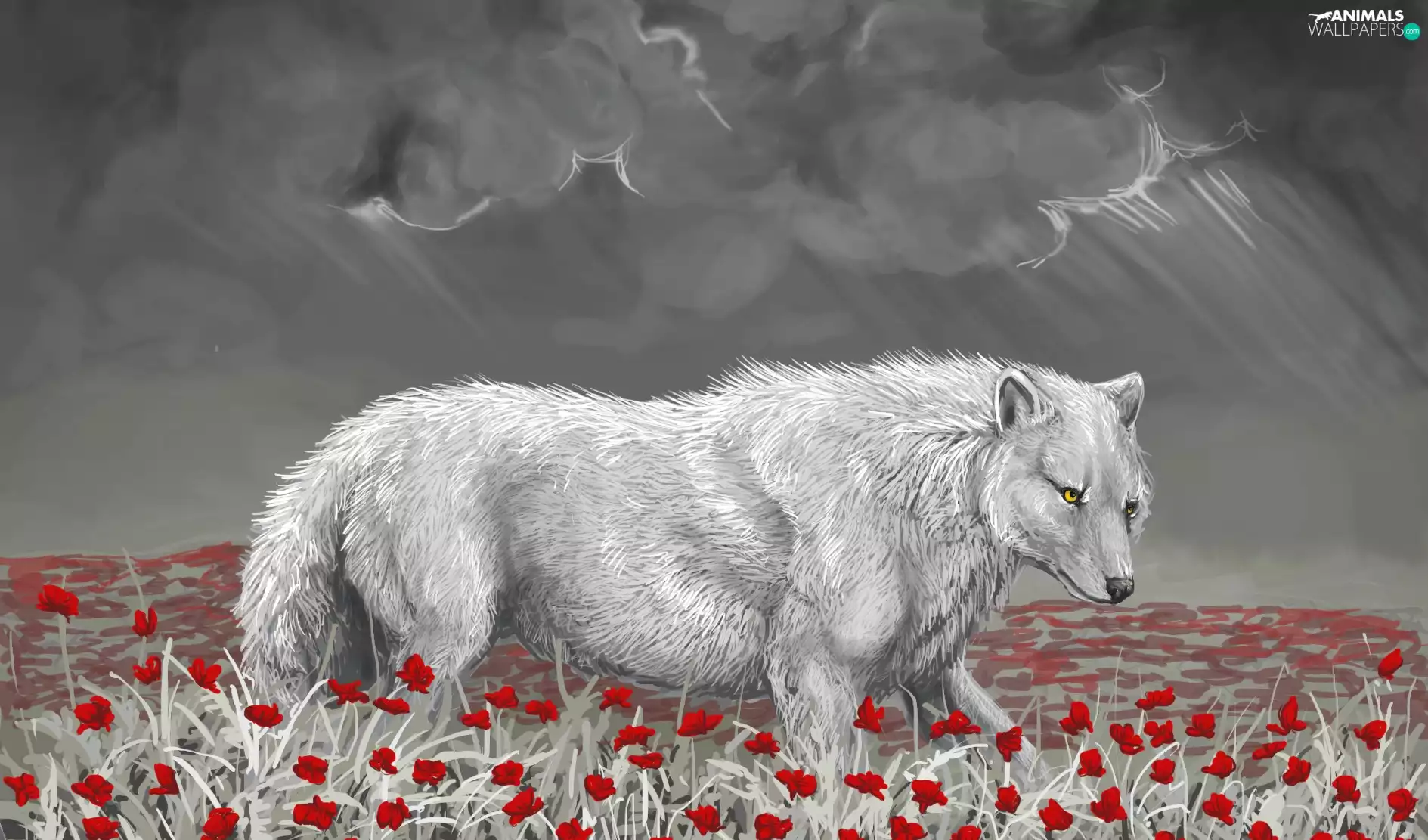 White, Red, Flowers, Wolf