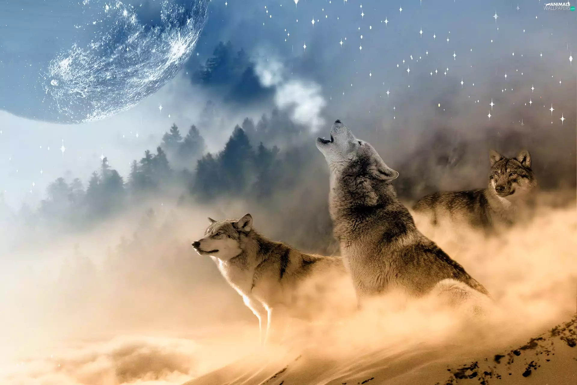 wolves