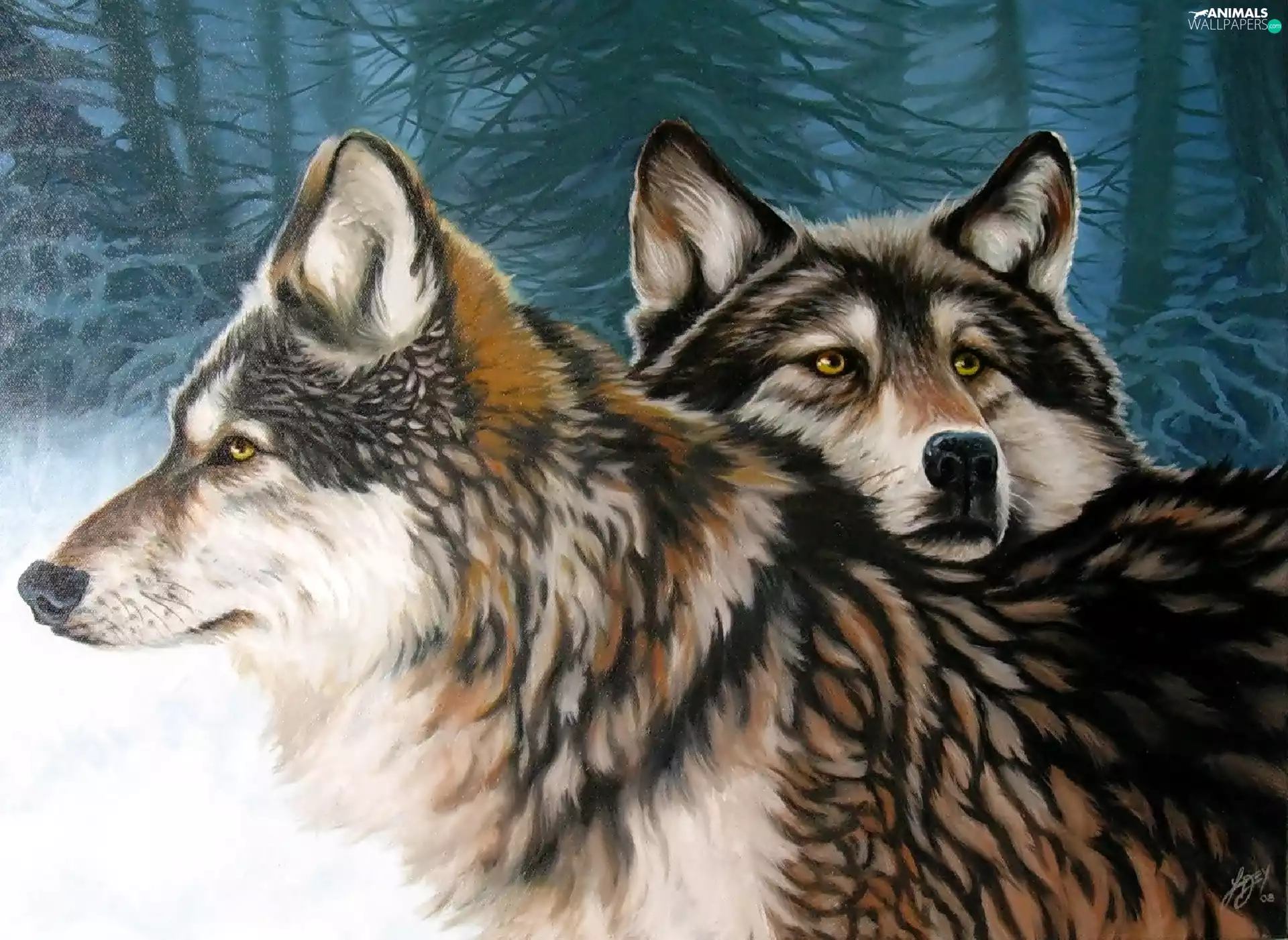 forest, Two cars, wolves