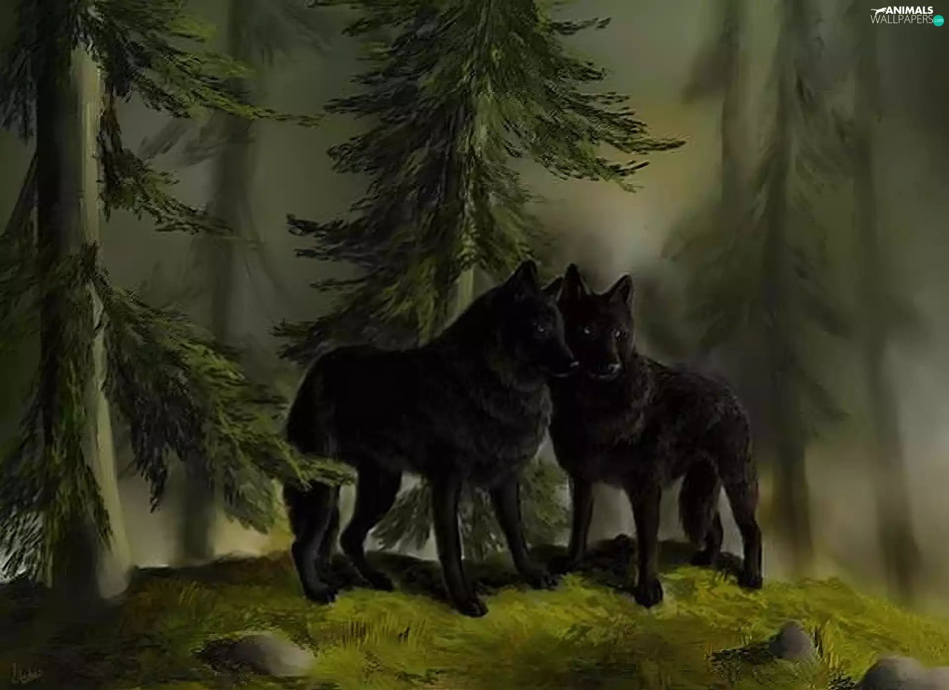 wolves, forest