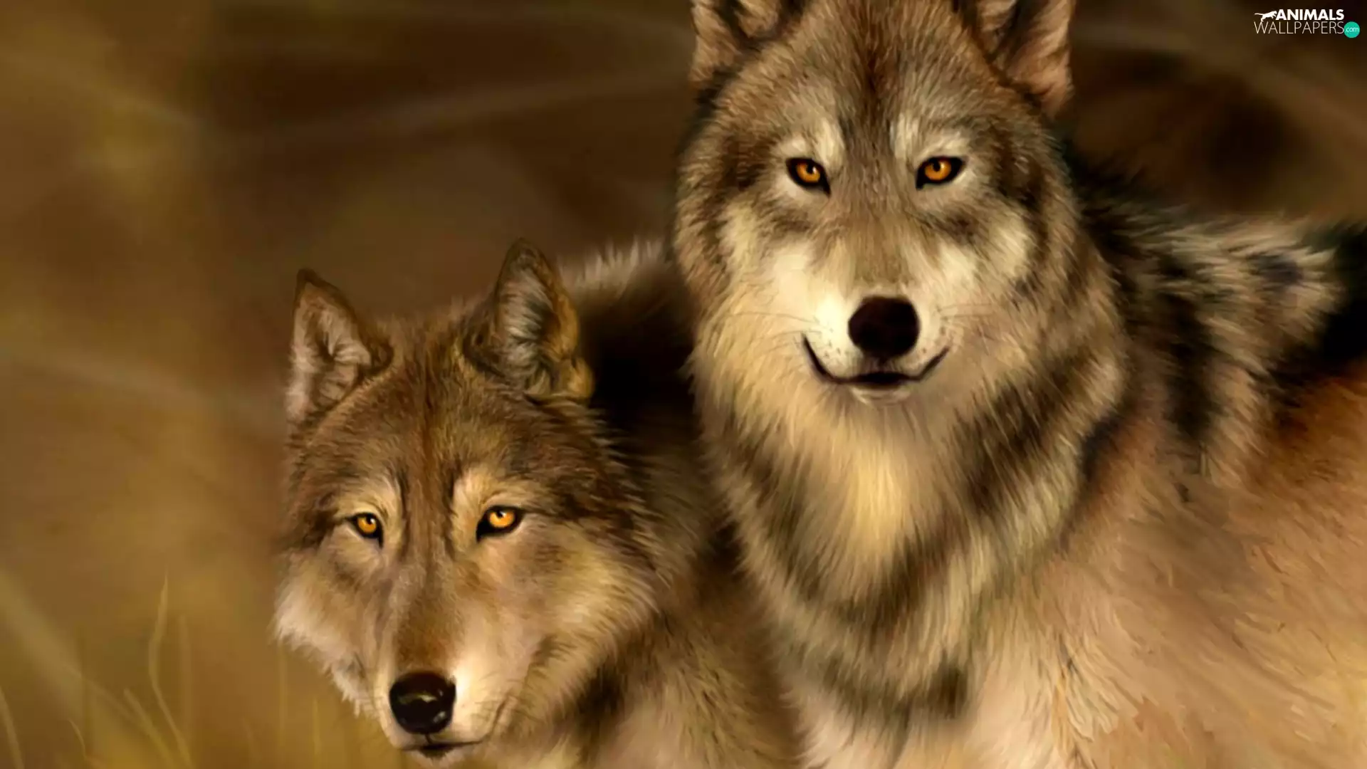 graphics, Two cars, wolves