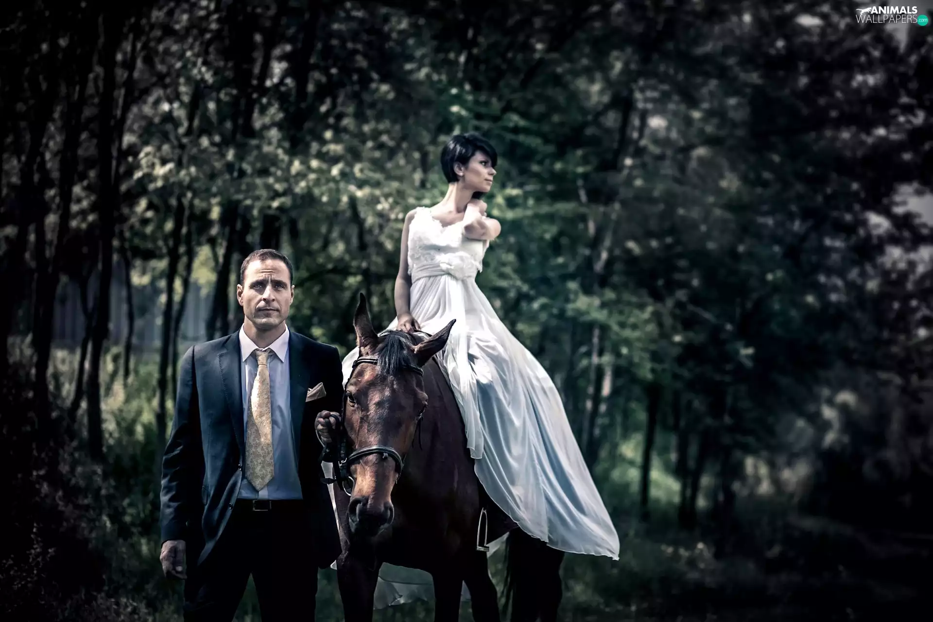 forest, Women, a man, Horse
