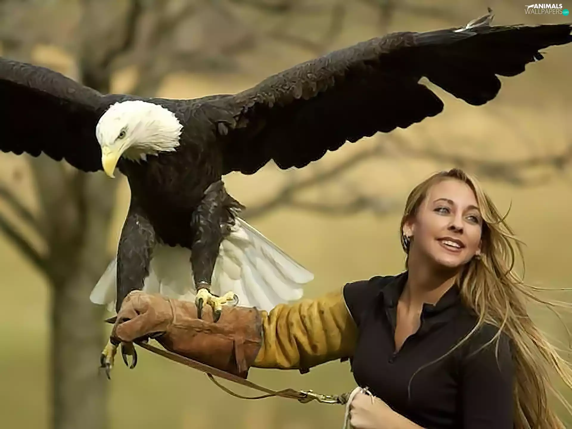 glove, Women, American Bald Eagle