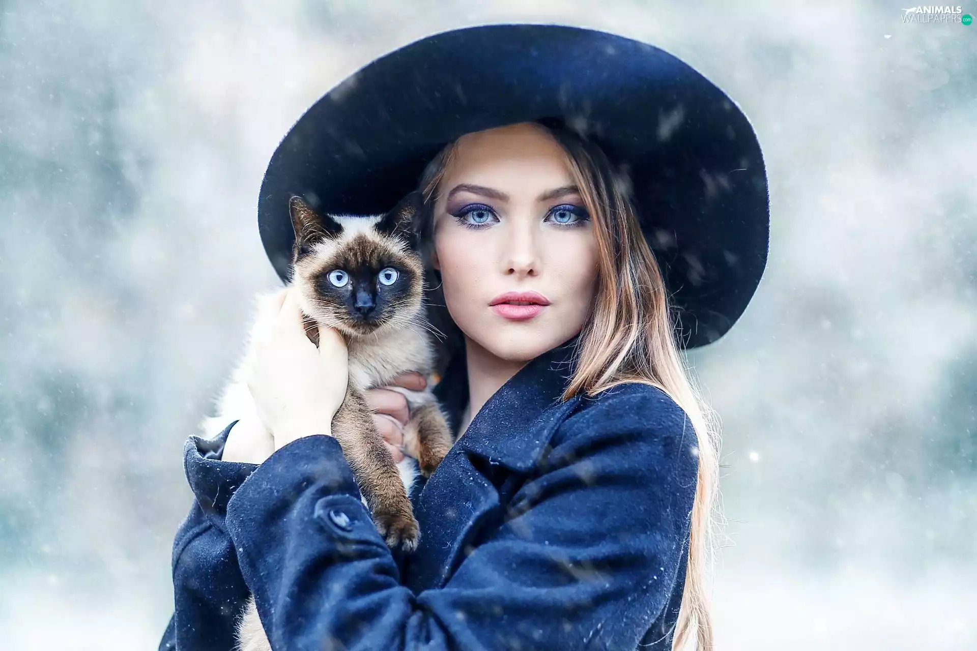Women, Siamese Cat