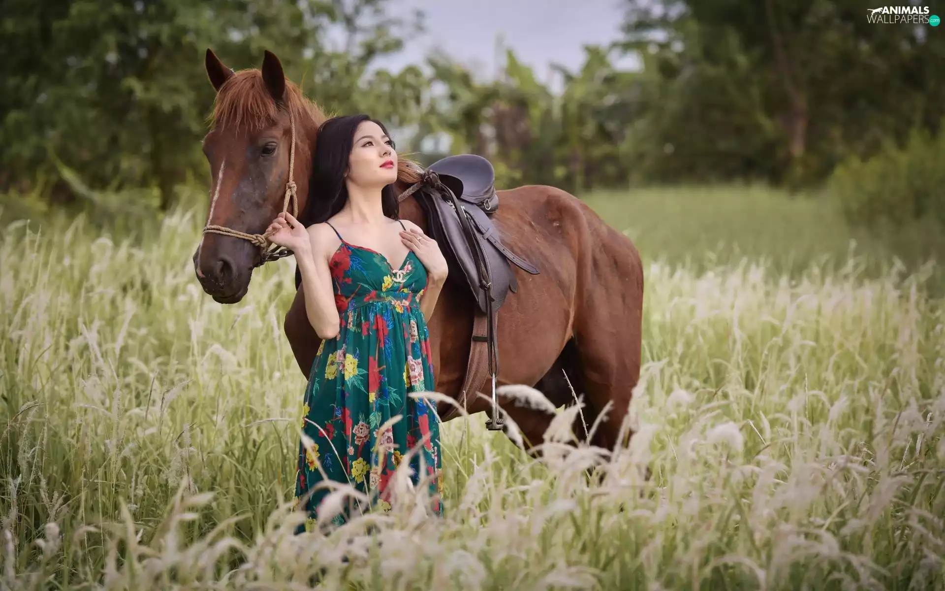Women, Meadow, Horse