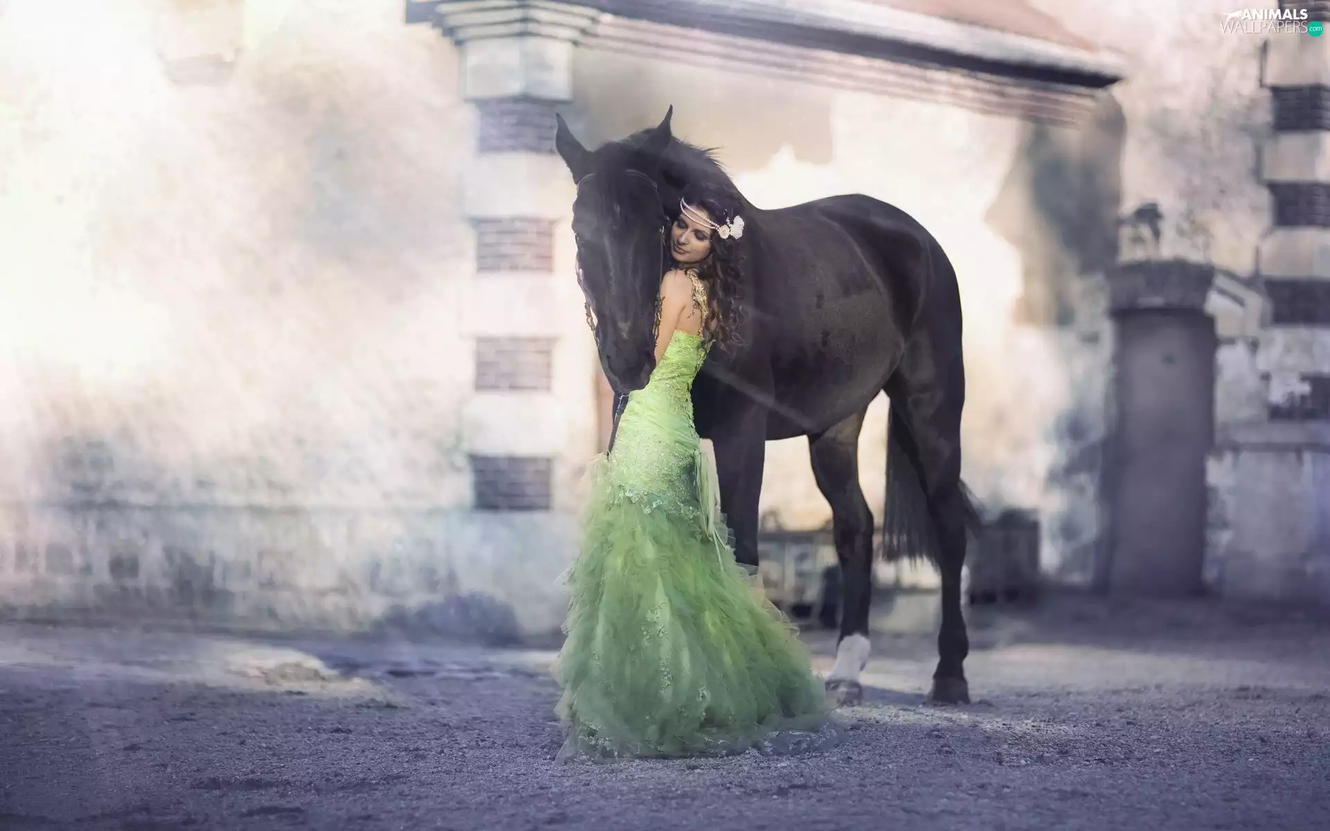 Horse, dress, rays, Women