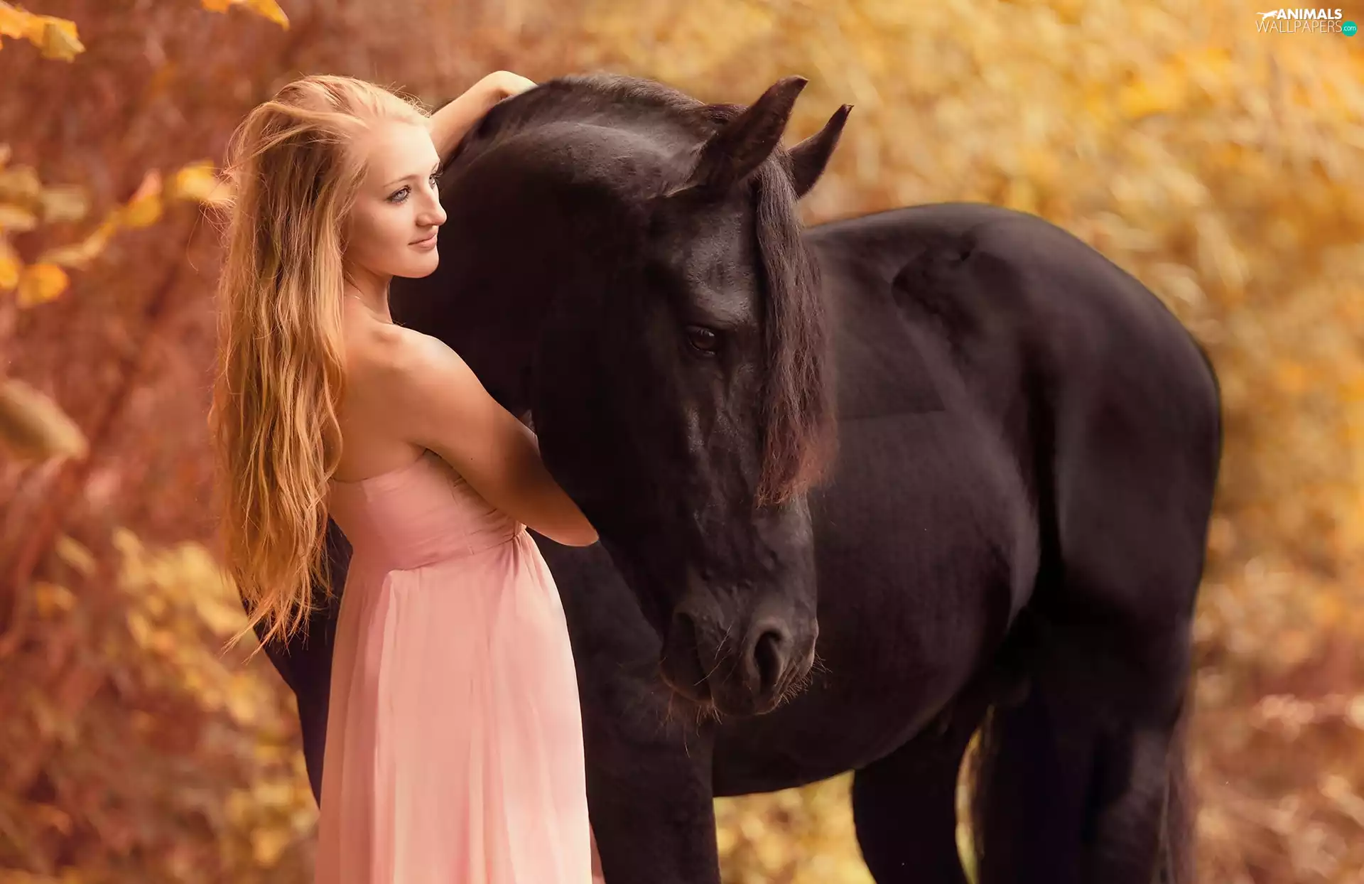 Women, Horse