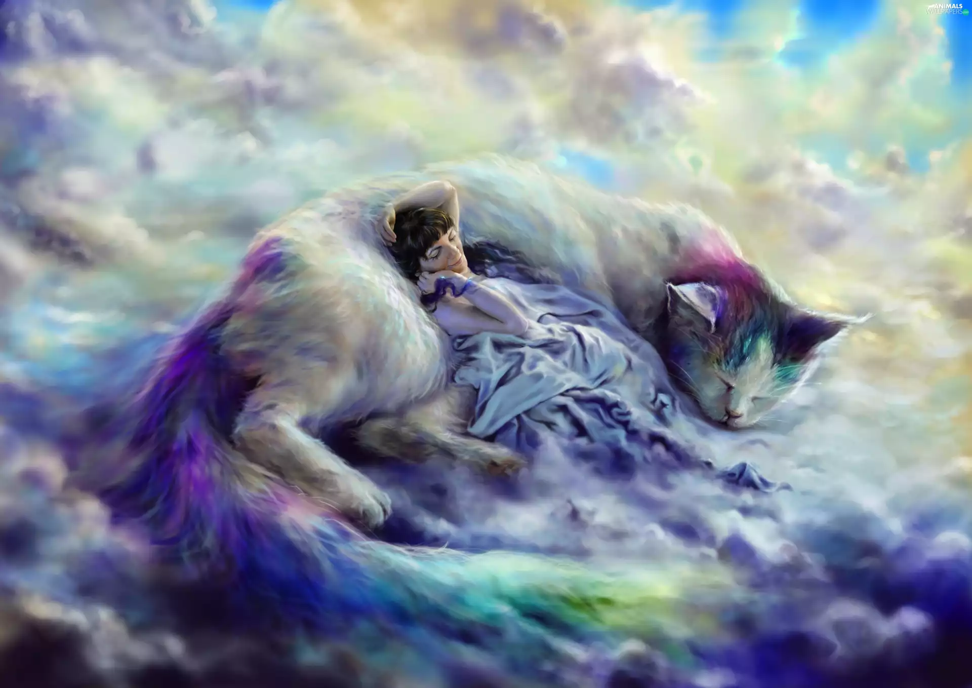 laying, cat, sleeps, Women