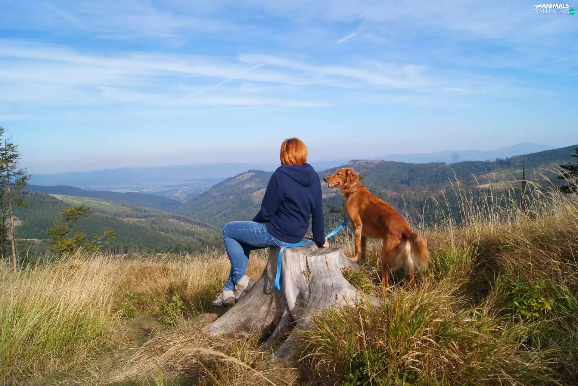 Mountains, dog, landscape, Women