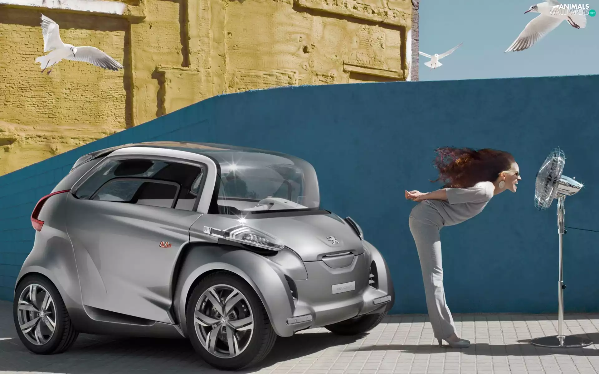 Peugeot, Windmill, gulls, Women
