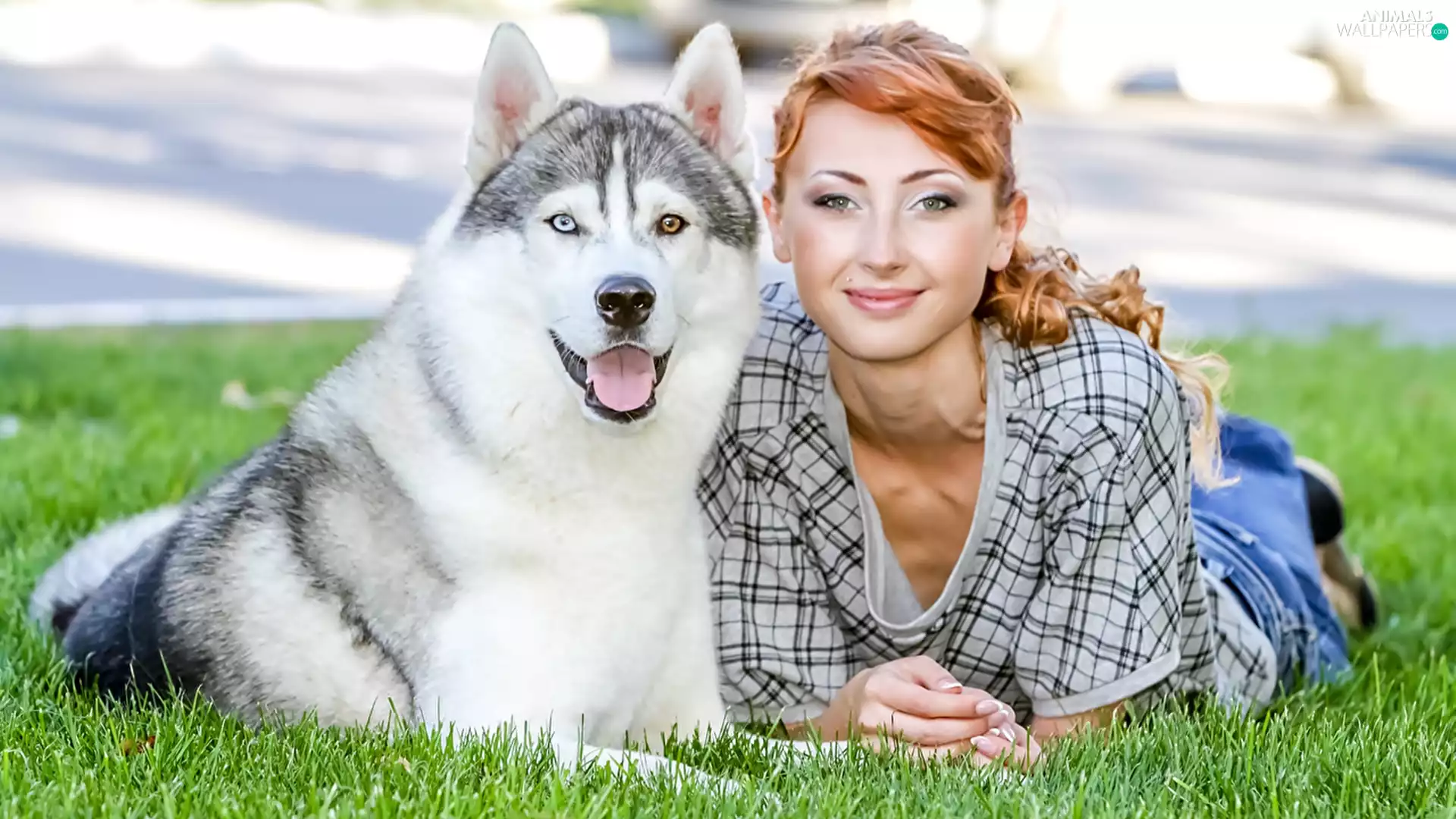 dog, Women, Smile, Siberian Husky