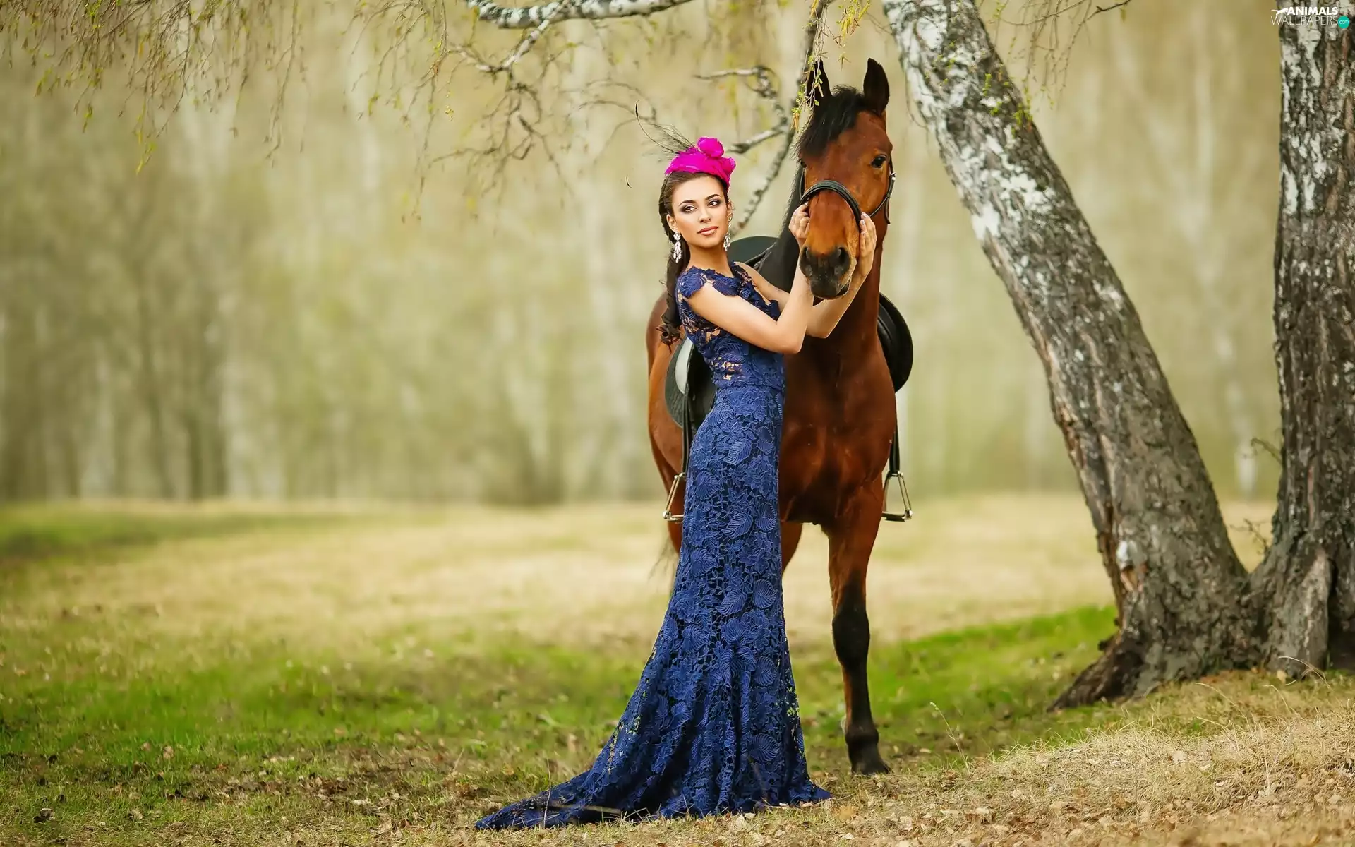 car in the meadow, forest, model, Horse, Women