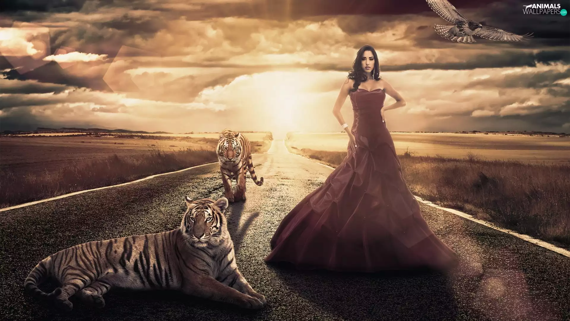Way, Dress, tigress, Women