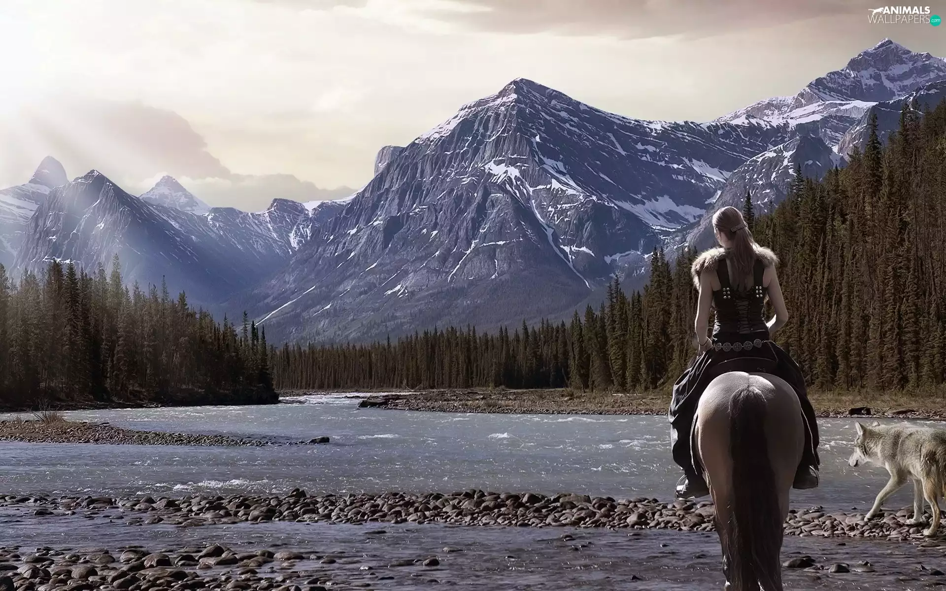 dog, Women, Mountains, woods, River, Horse