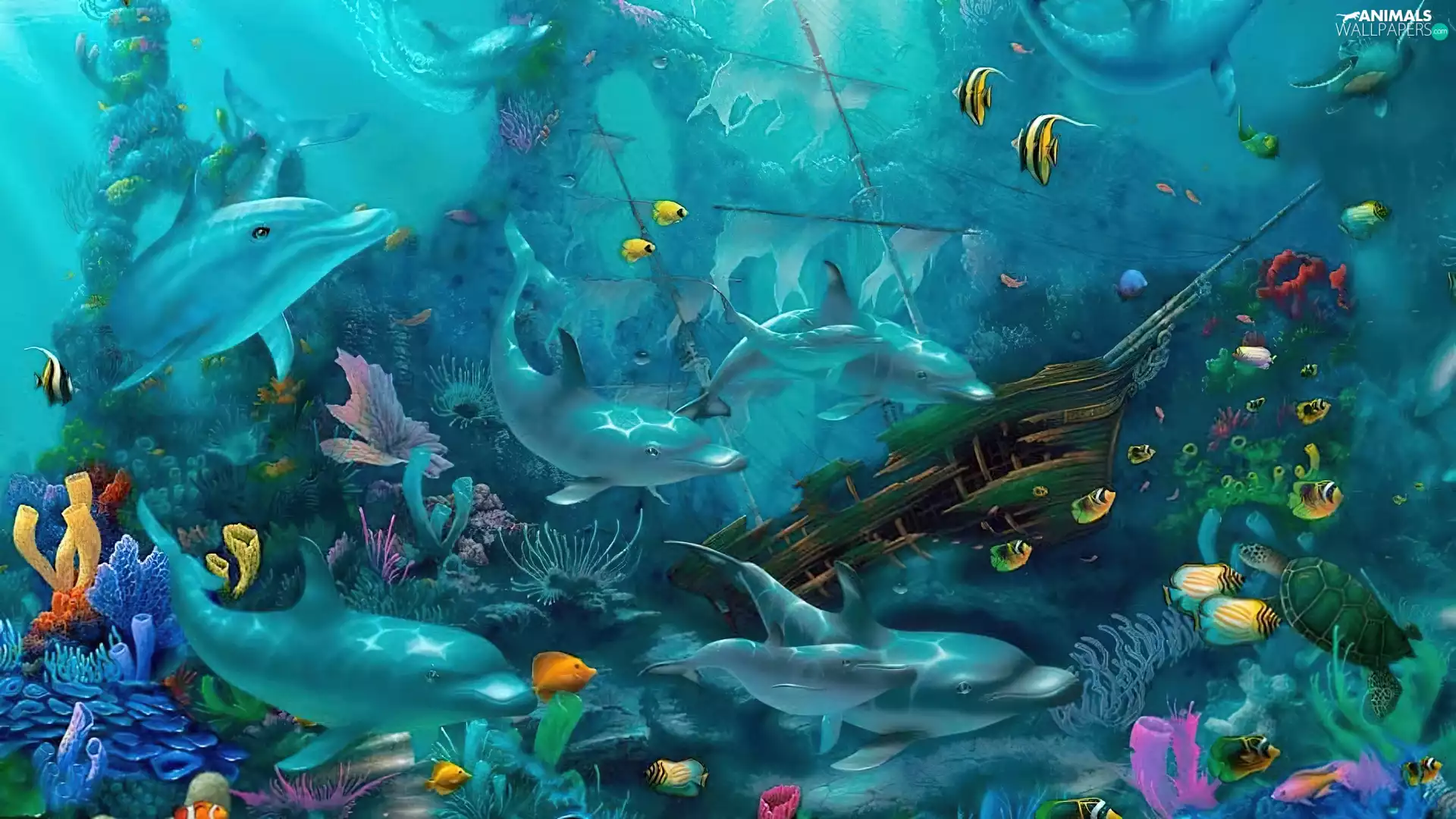immersed, world, dolphins, wreck, fish