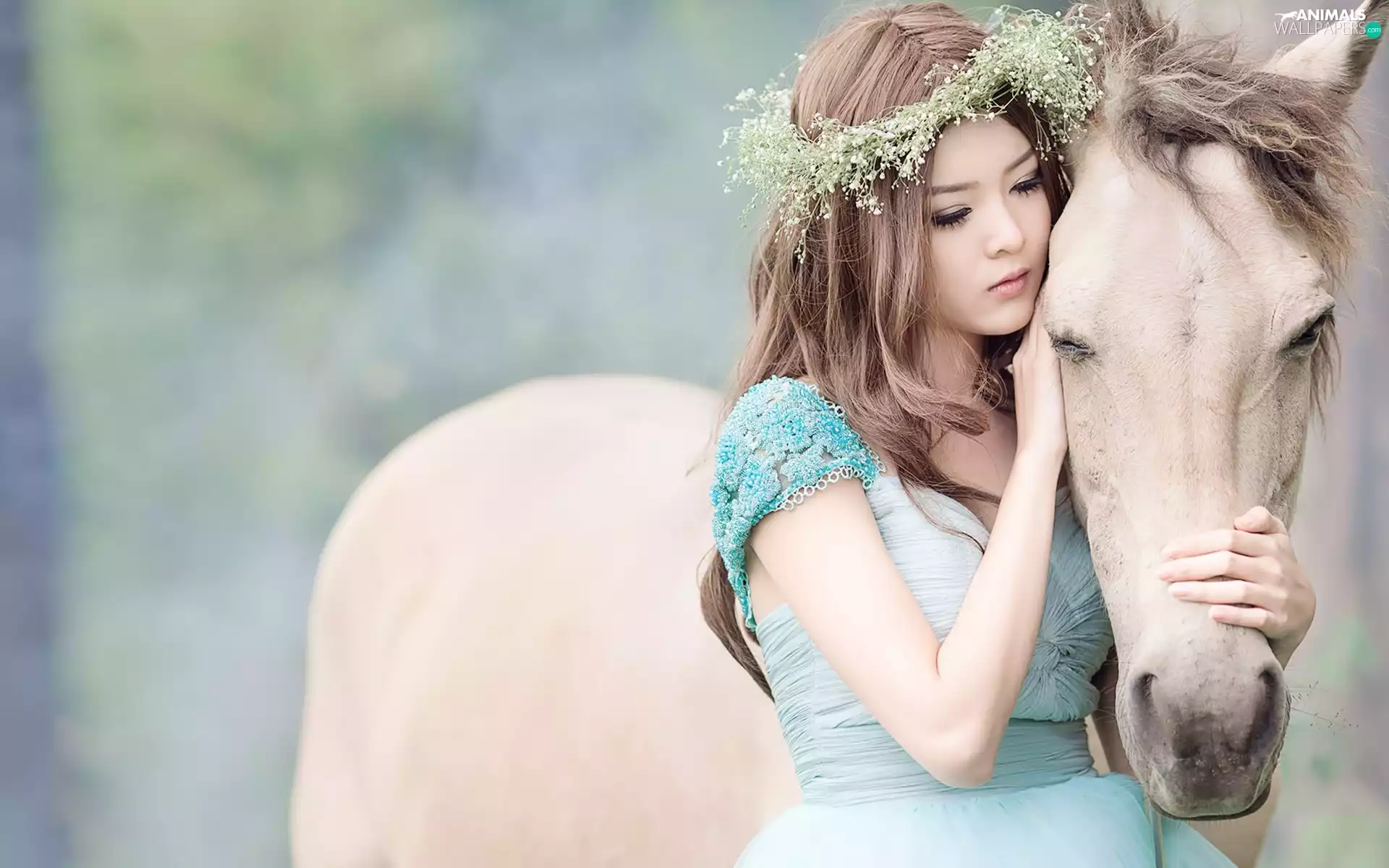 girl, White, Horse, wreath