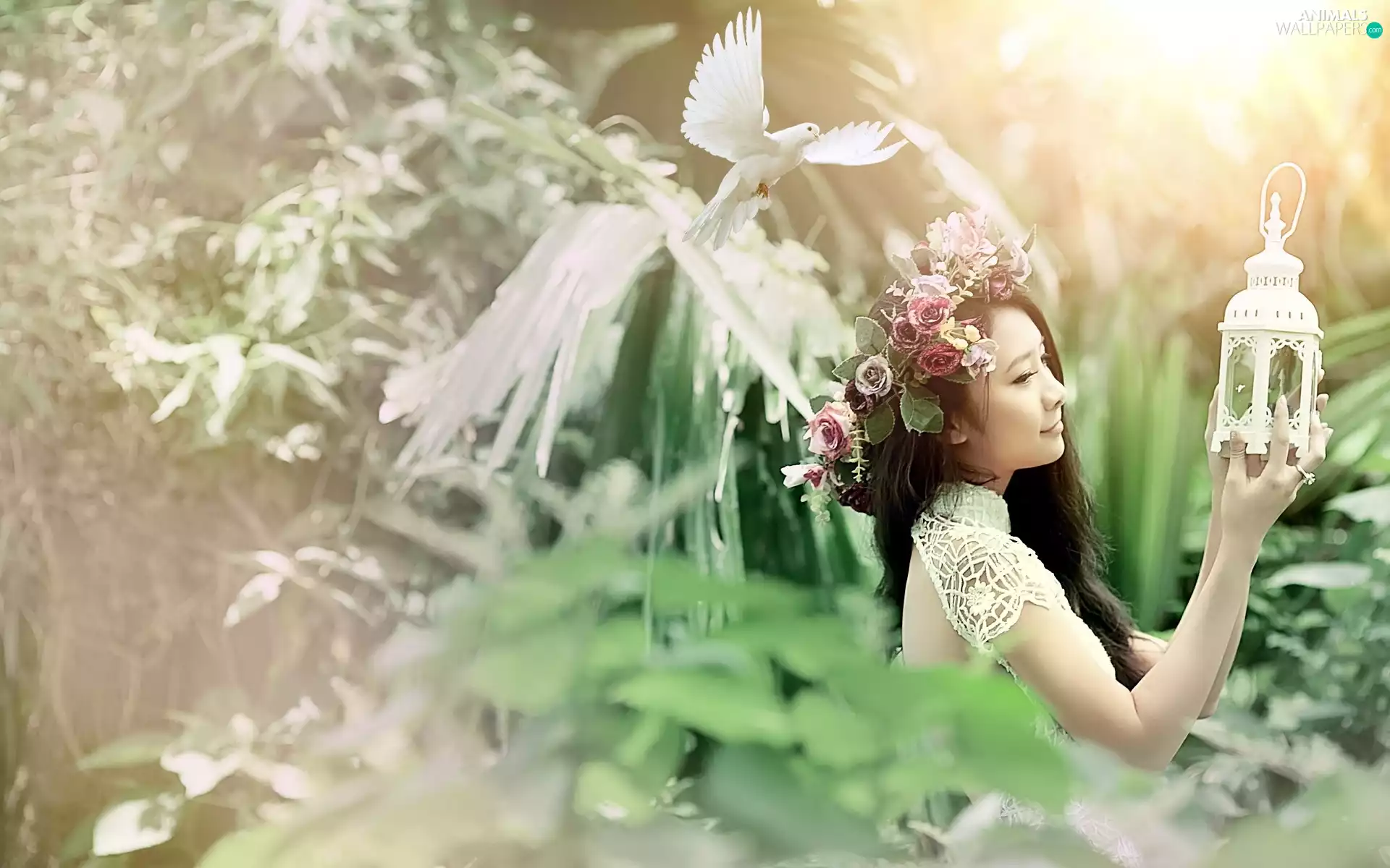 Women, pigeon, Lamp, wreath