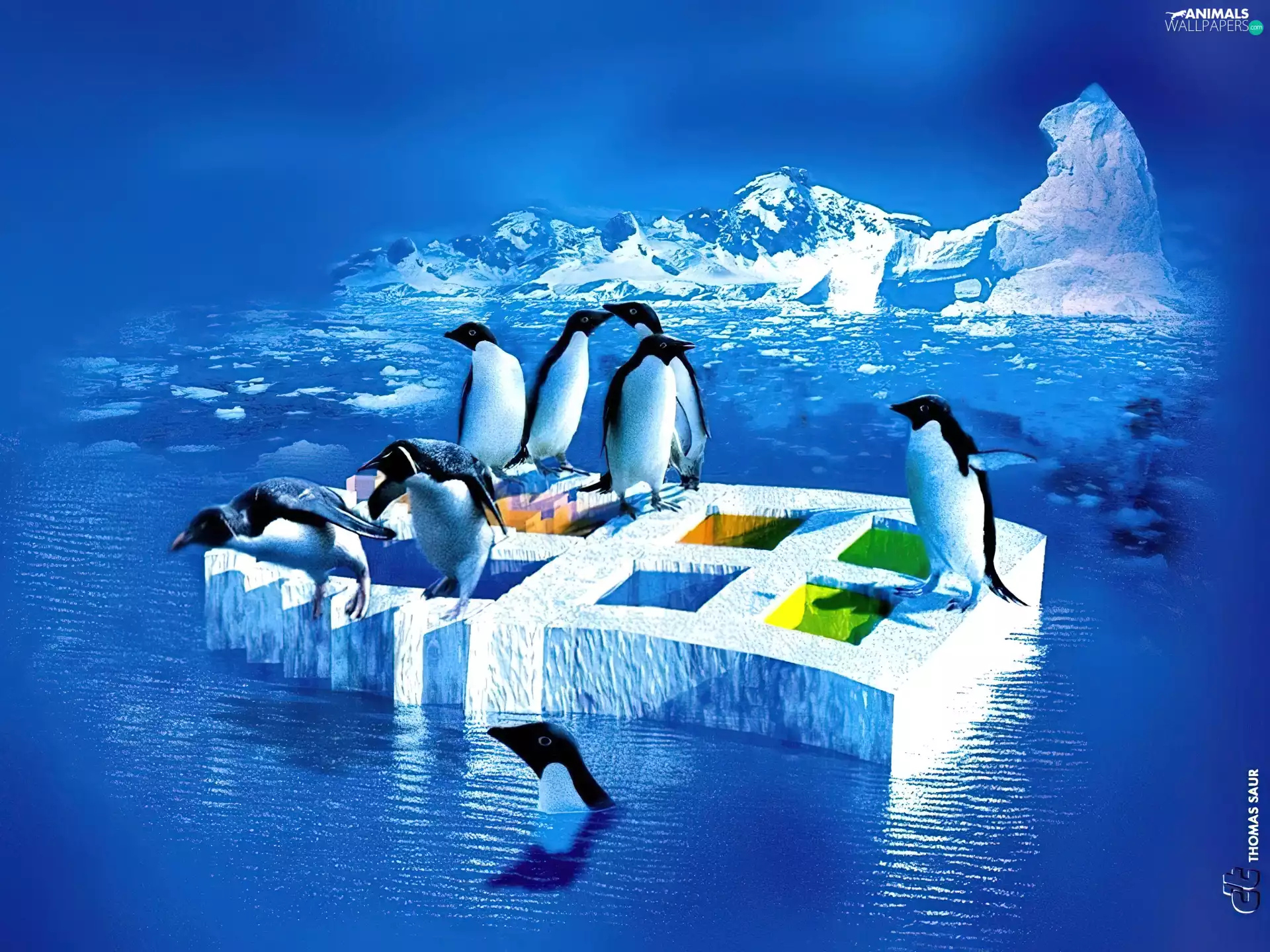 Windows XP, logo, Icecream, penguin
