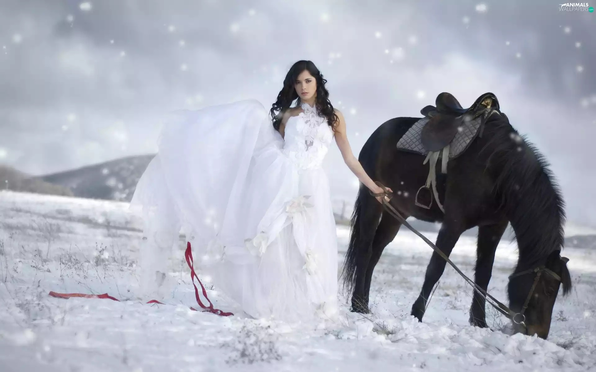 lady, Horse, winter, young