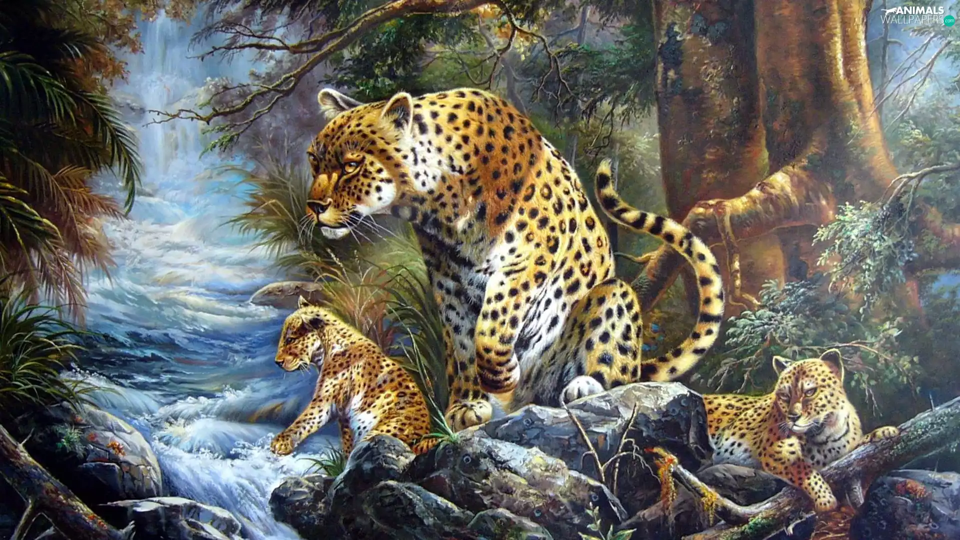 Leopard, water, forest, young