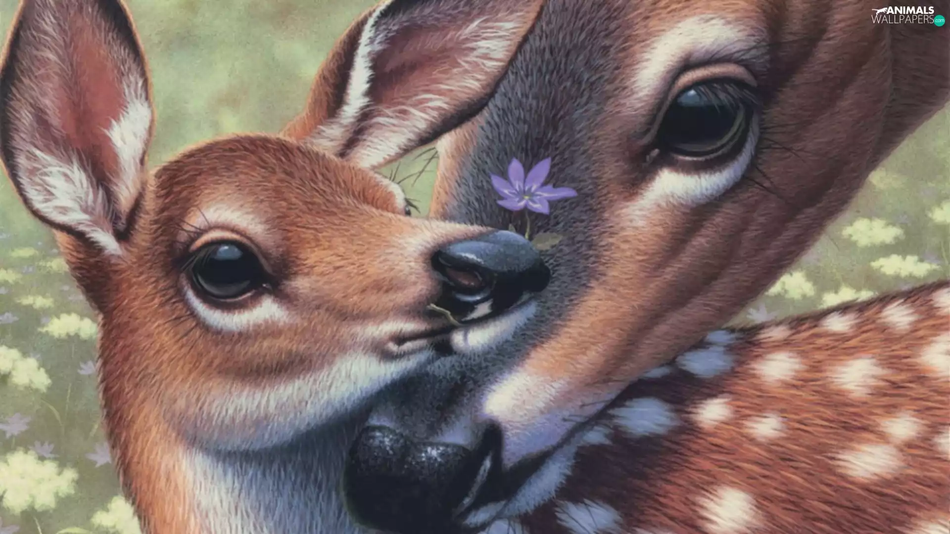 for, for mom, young, Flower, roe