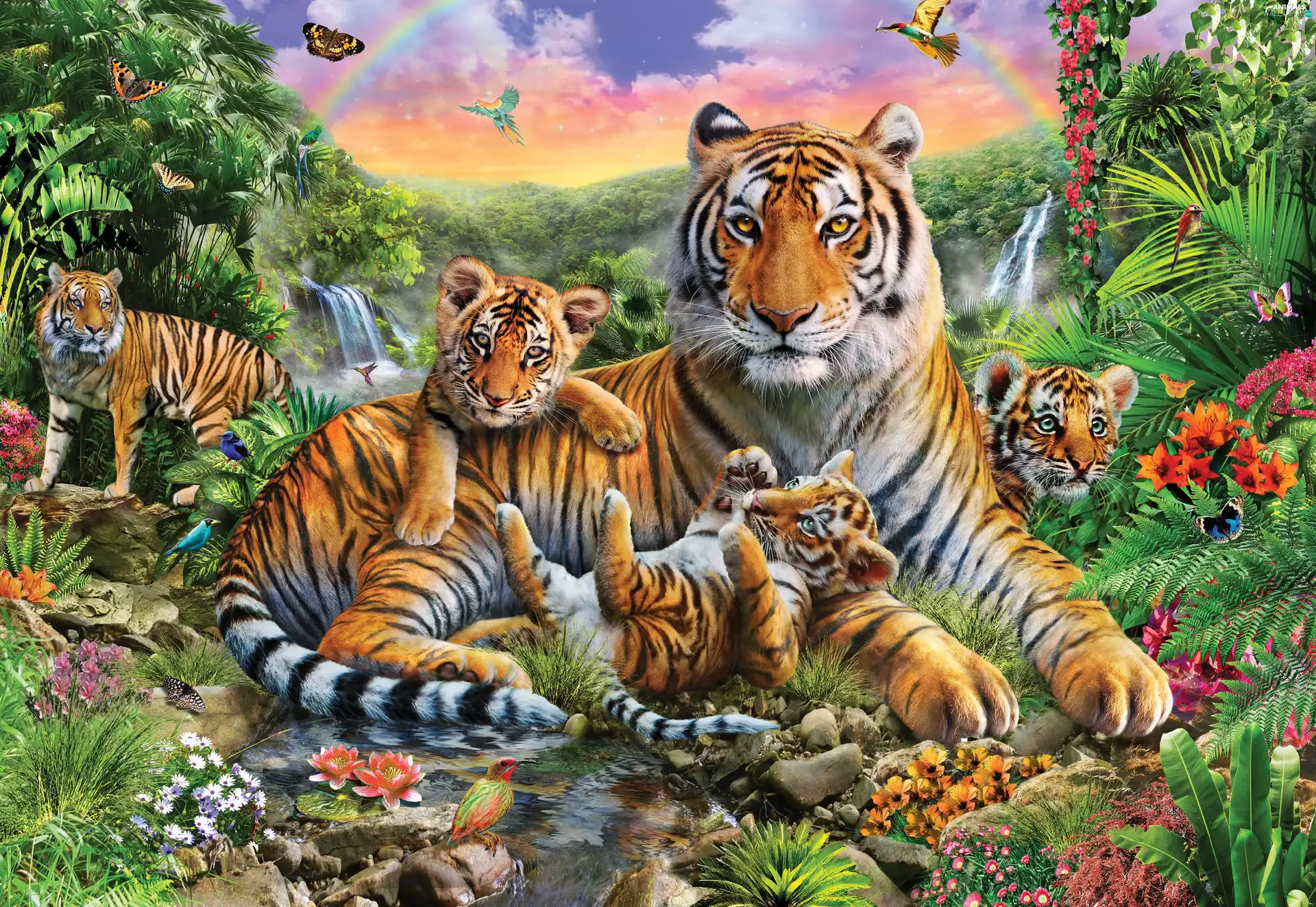 tigress, jungle, picture, young