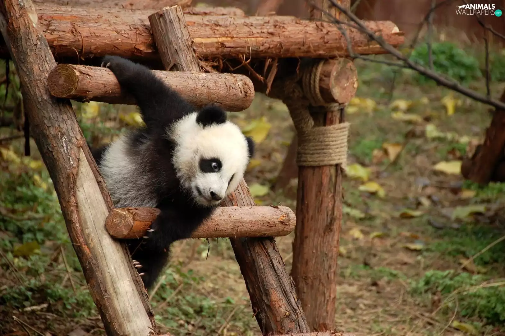 small, square, playground, zpabda