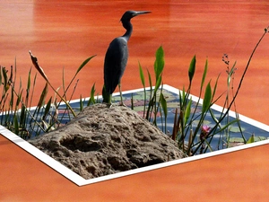 Bird, Island, bulrush, 3D