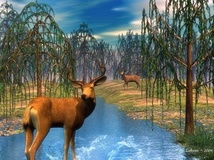 3D, Deer, forest