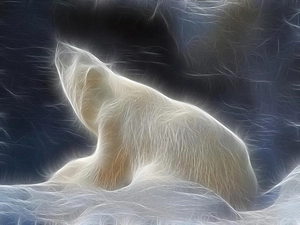 3D, Bear, polar