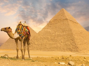 anticline, Camel, Pyramids