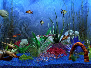 aquarium, exotic, fish