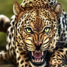 Art, furious, Leopards