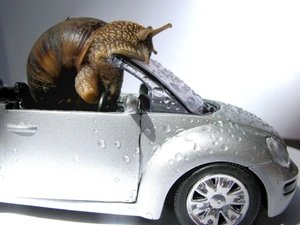 Automobile, snail, driver