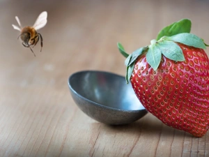 fuzzy, background, bucket, bee, Strawberry