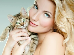 Women, kitten, background, Blonde