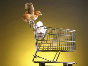 basket, chicken, eggs