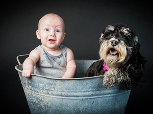 Kid, dog, Schnauzer, bathtub