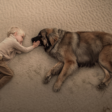 boy, Leonberger, Beaches, dog