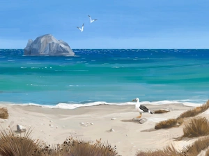 sea, Dunes, gulls, Beaches