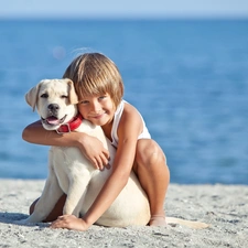 Beaches, water, Puppy, Labrador Retriever, Kid