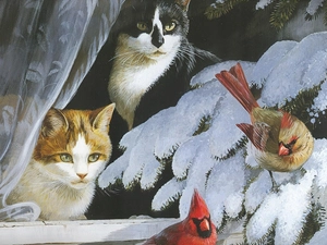 behind glass, Two cars, birds, Cardinals, Two cars, cats