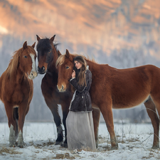 Three, girl, snow, bloodstock