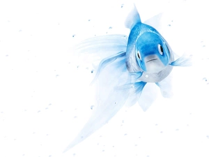 graphics, fish, Fish, Blue