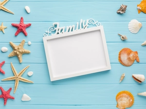 boarding, Blue, starfish, frame, Shells