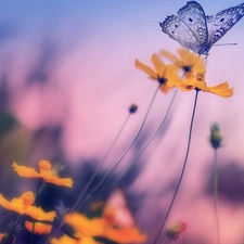 blur, butterfly, Flowers